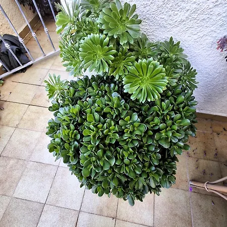 Apartemento Monika Monte Pedrera C 4 Aussicht Appartement Dénia